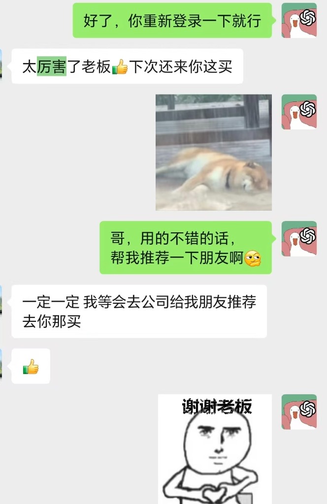 AIchongzhi官方 - ChatGPT会员代充成功案例